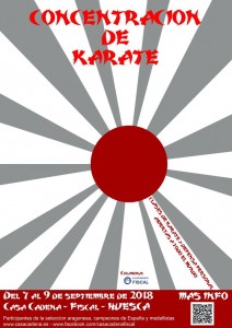cartel-concentracion-de-karate-724x1024